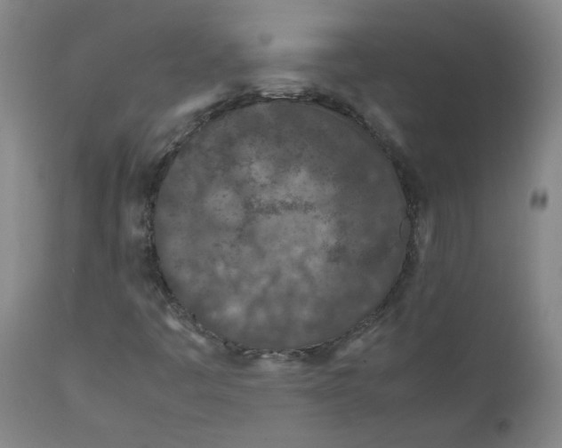 X0000112211445200909041329