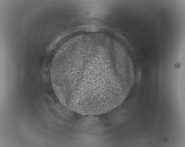 X0000112211446200909041329