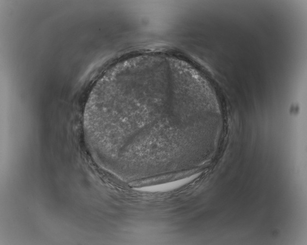 X0000112211447200909041329