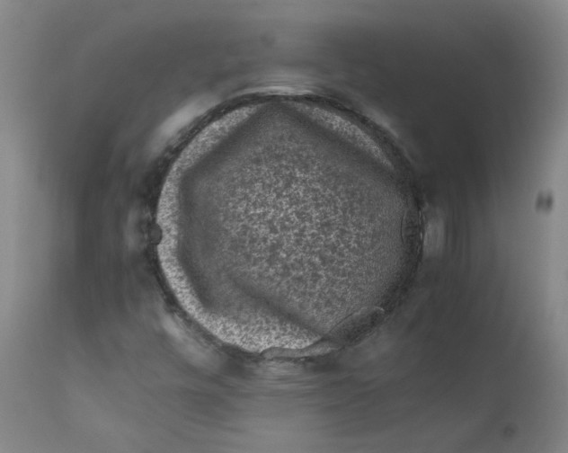 X0000112211448200909041329