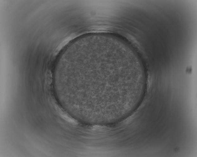 X0000112211449200909041329