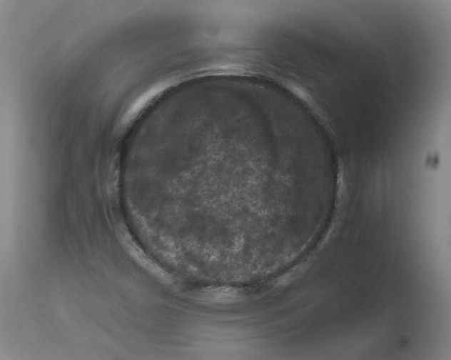 X0000112211450200909041329