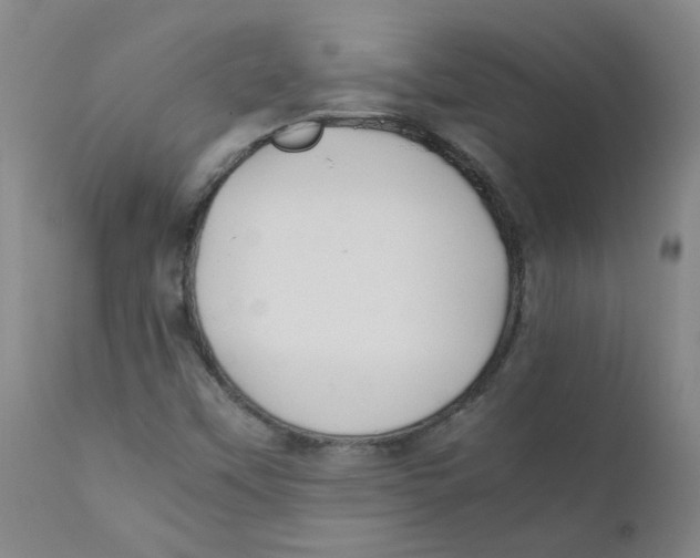 X0000112211451200909041329