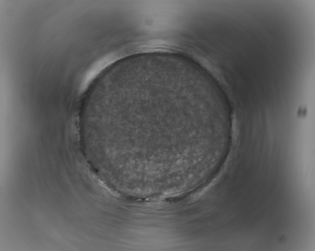 X0000112211453200909041329