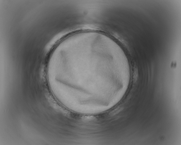 X0000112211454200909041329