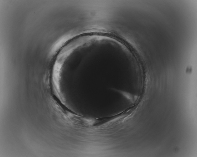 X0000112211455200909041329