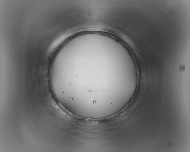 X0000112211456200909041329