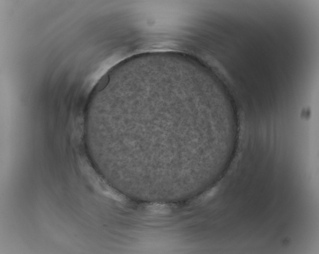 X0000112211457200909041329