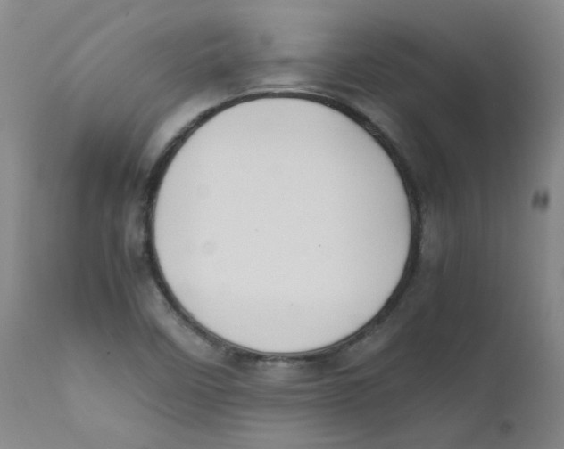 X0000112211458200909041329