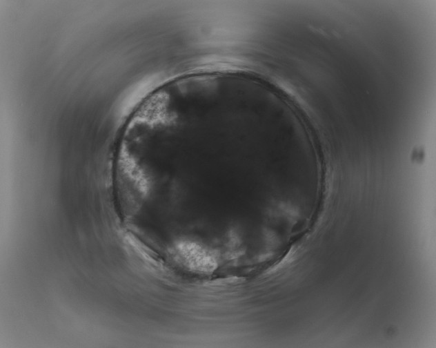 X0000112211459200909041329