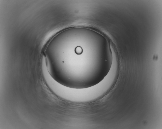 X0000112211461200909041329