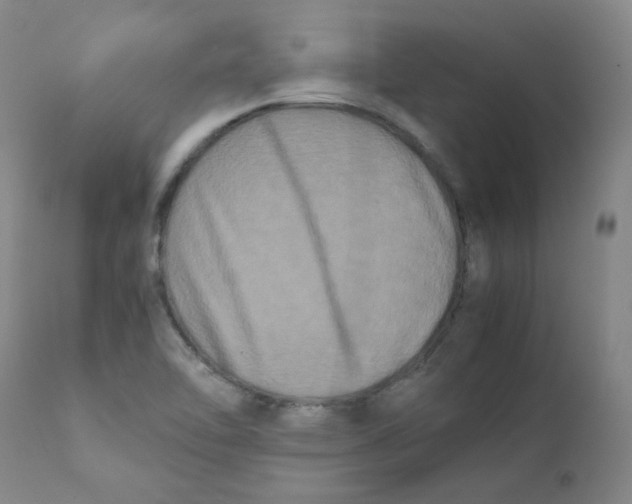X0000112211462200909041329