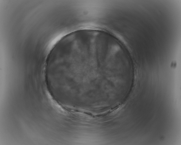 X0000112211463200909041329