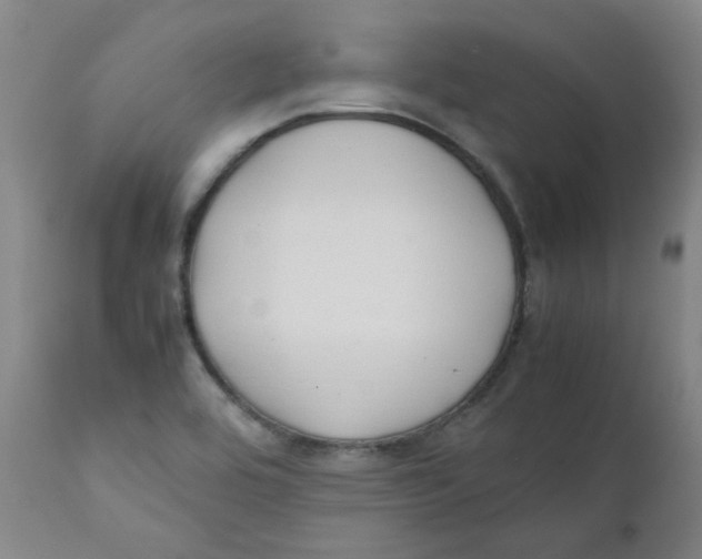 X0000112211464200909041329