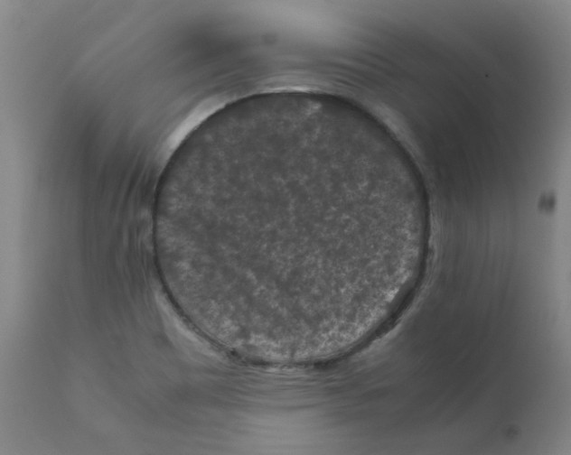 X0000112211465200909041329