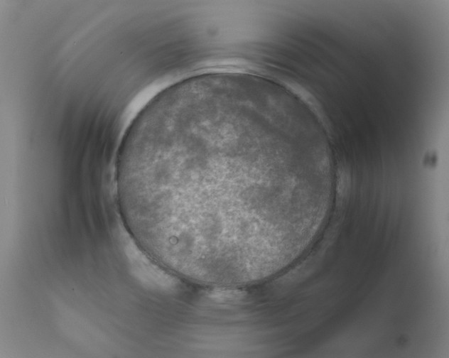 X0000112211466200909041329