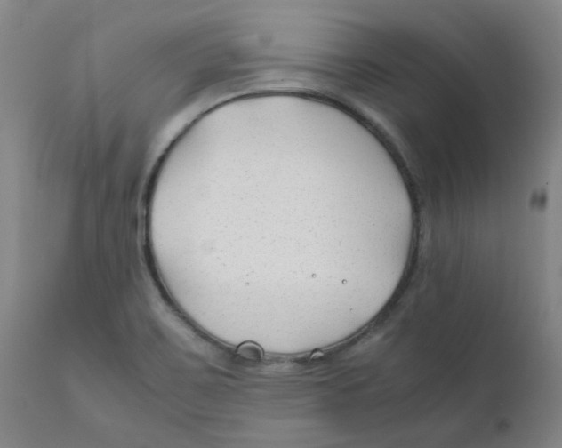 X0000112211467200909041329