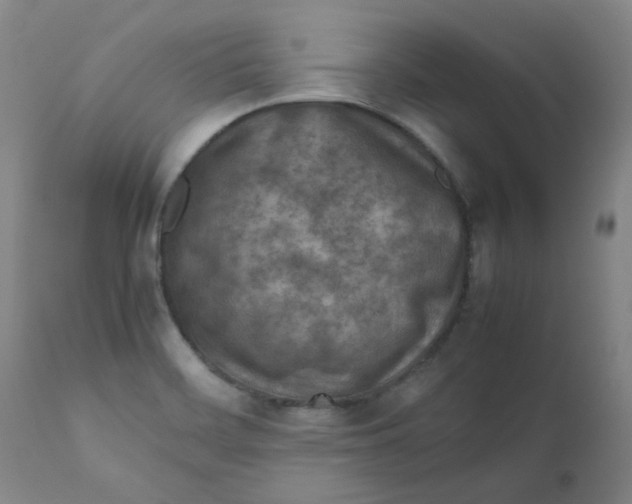 X0000112211468200909041329
