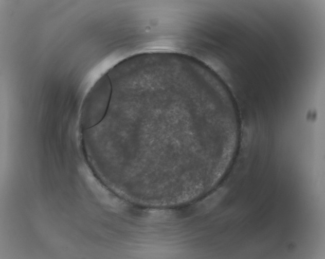 X0000112211469200909041329