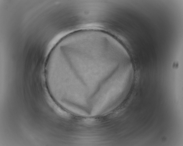 X0000112211470200909041329