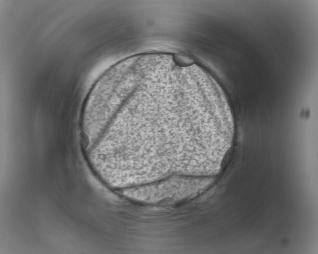 X0000112211471200909041329