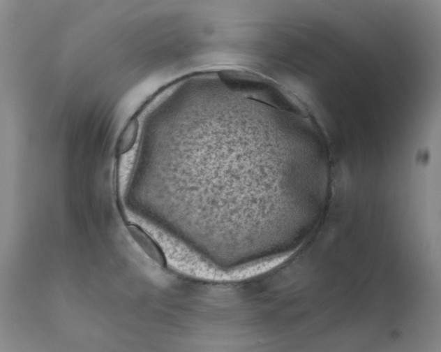 X0000112211472200909041329