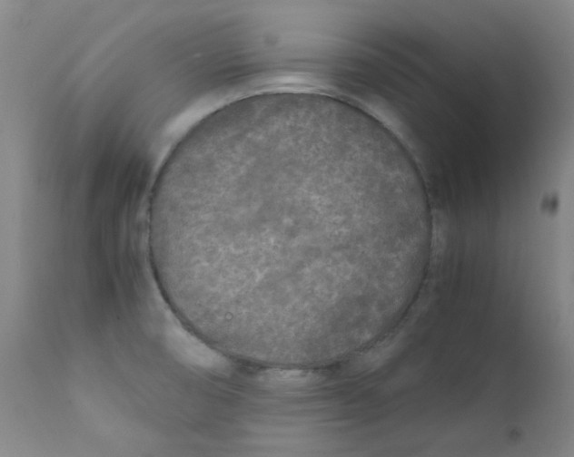 X0000112211474200909041329