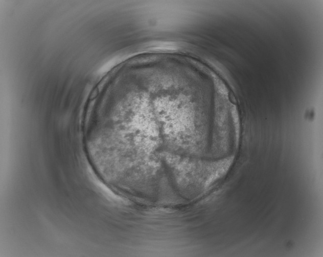 X0000112211475200909041329