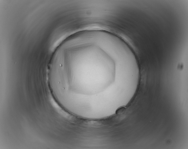 X0000112211476200909041329