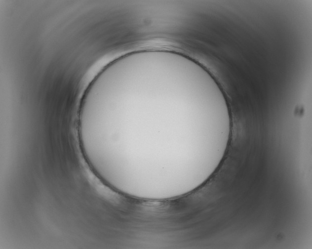 X0000112211478200909041329
