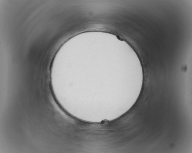 X0000112211479200909041329