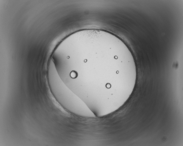 X0000112211480200909041329