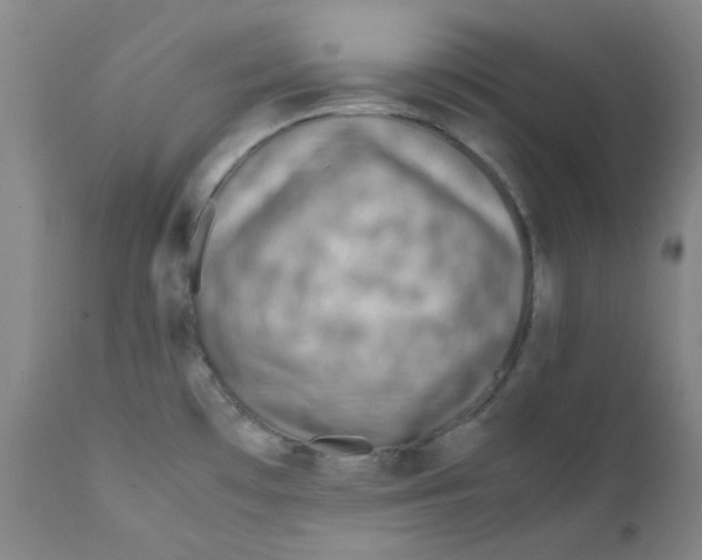 X0000112211481200909041329