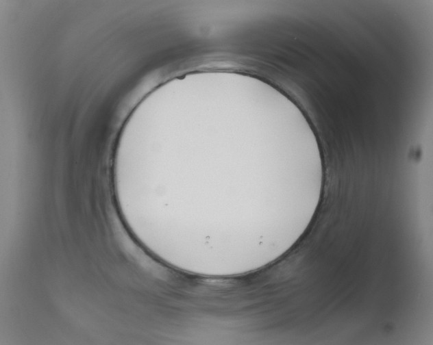 X0000112211483200909041329