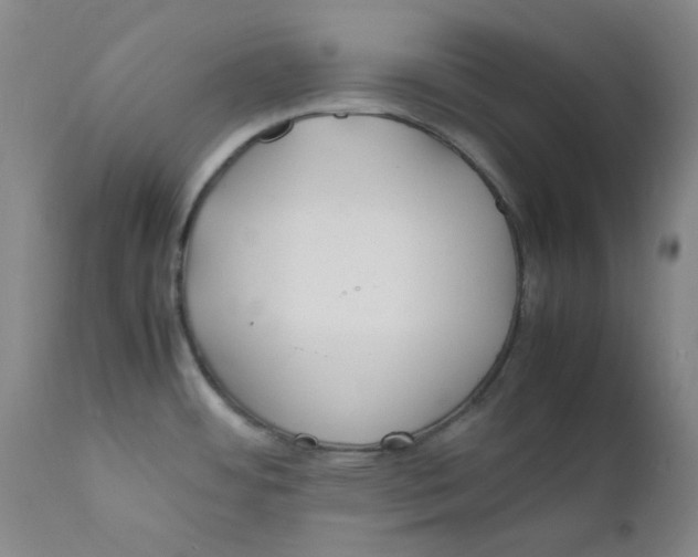X0000112211484200909041329