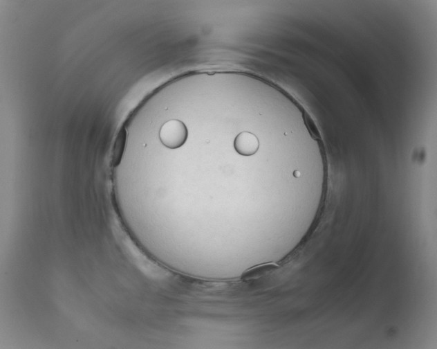 X0000112211485200909041329