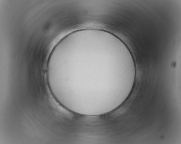 X0000112211486200909041329