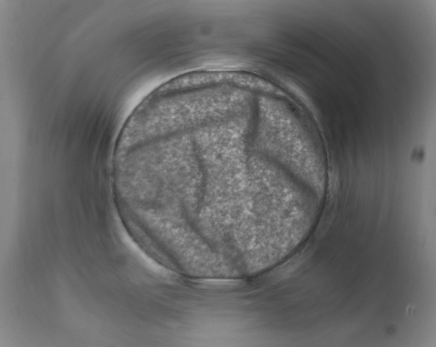 X0000112211487200909041329