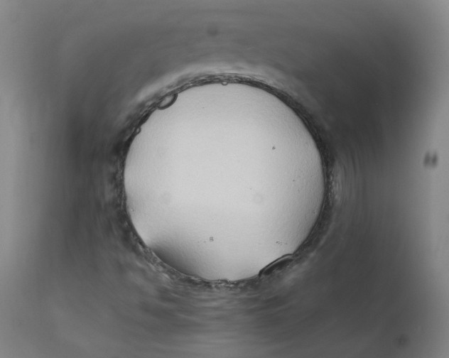 X0000112211494200909041328