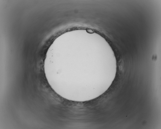 X0000112211495200909041328