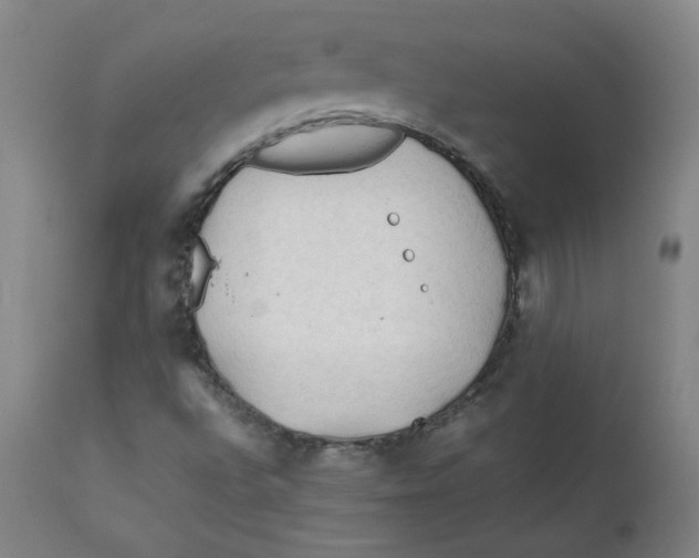 X0000112211496200909041328