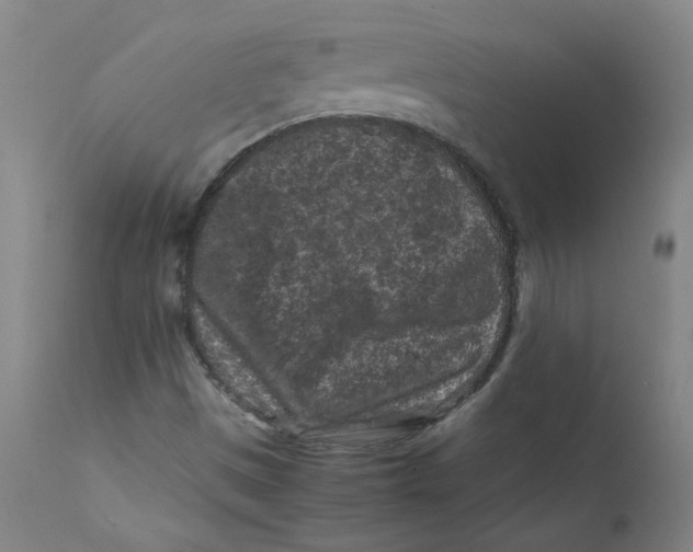 X0000112211497200909041328