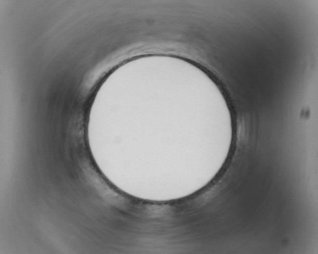 X0000112211498200909041328
