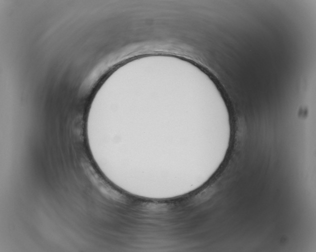 X0000112211499200909041328