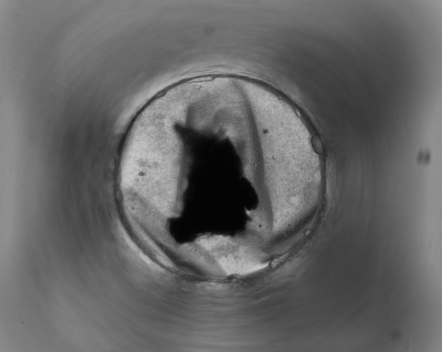 X0000112211500200909041328