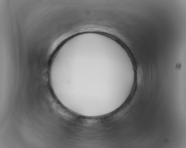 X0000112211501200909041328