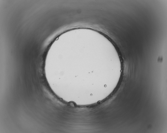 X0000112211502200909041328