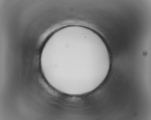 X0000112211503200909041328