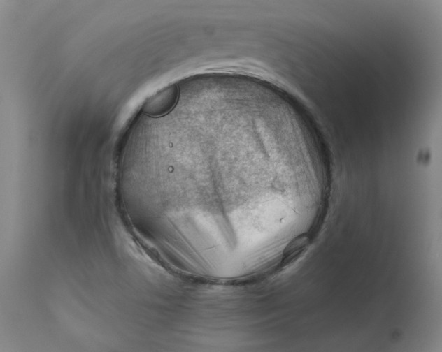 X0000112211506200909041328