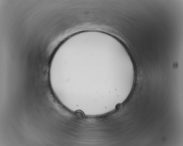 X0000112211507200909041328